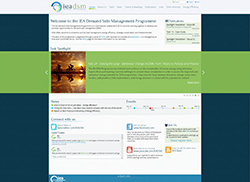 IEADSM Website 1
